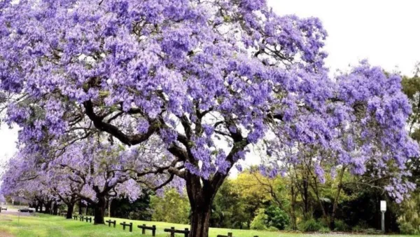 "Tra la Fondazione Carit e il Comune splende il sole"