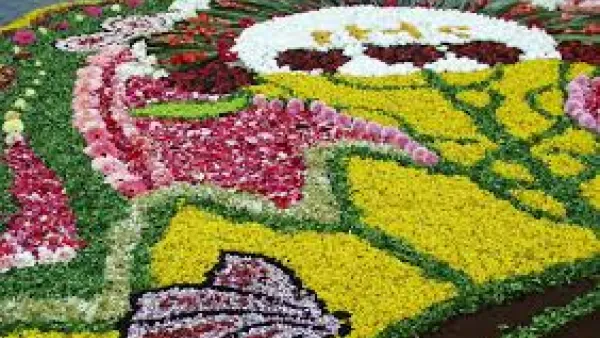 A Borgo Bovio la prima infiorata di quartiere