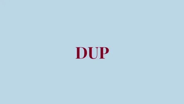 "Il Dup è solo un contenitore di promesse non mantenute"