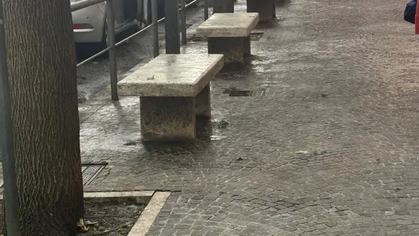 "Anita Garibaldi pulito il guano dei piccioni"