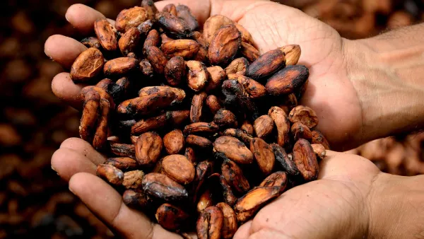 Inflazione, il cacao è meravigliao