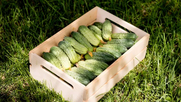 Aumenta il costo delle zucchine e delle scarpe