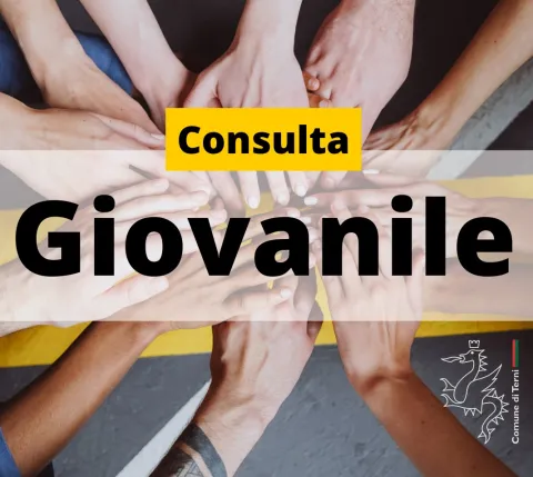 Consulta Giovanile 2025