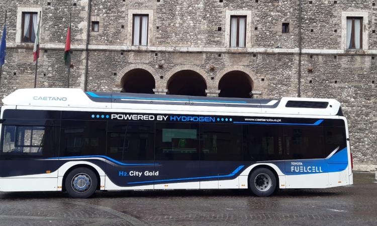 Salvati: “Bus a idrogeno, nessuno stop al progetto”
